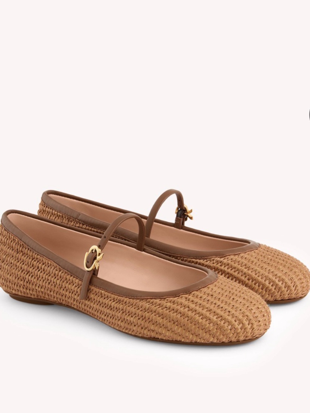 Gianvito Rossi Brown Woven Mary Jane Flats